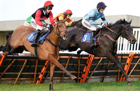 horse racing tip offs